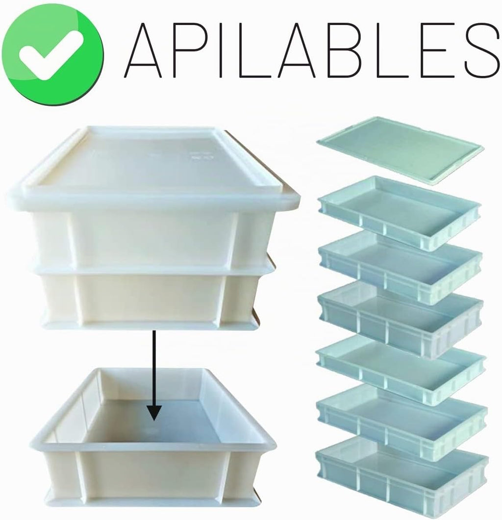 Genus Dei - Caja para masas con tapa, modelo Service, 30 x 40 x 10 cm de alto