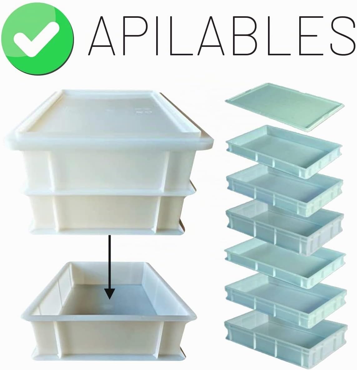 Genus Dei - Caja para masas con tapa, modelo Service, 30 x 40 x 10 cm de alto